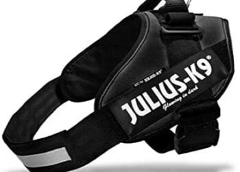 Comment faire pour que mon chien arrête de tirer ?