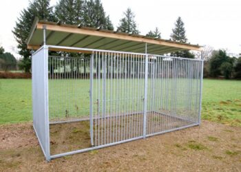 Comment faire pour que mon chien ne saute pas la clôture ?