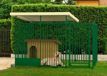 Comment faire pour que mon chien ne s'échappe pas ?