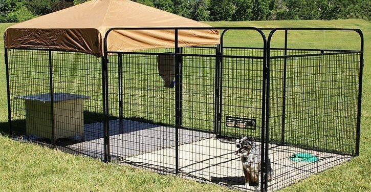 Comment faire pour que mon chien ne s'échappe pas ?