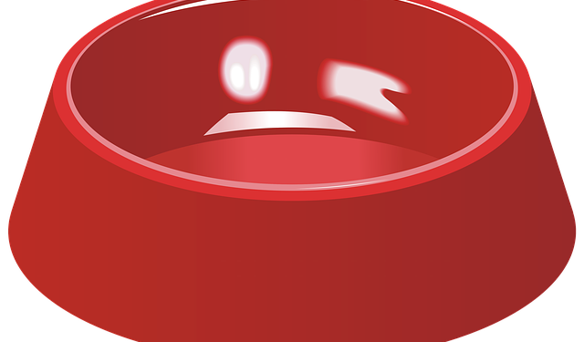 Comment faire pour que mon cochon d'Inde soit heureux ?