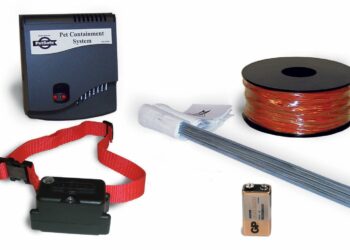 Comment faire pour que son chien ne s'échappe pas ?