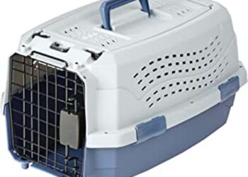 Comment faire pour qu'un chat ne miaule pas en voiture ?