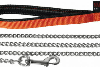 Comment faire pour qu'un chien ne tire pas en promenade ?