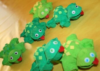 Comment faire pour qu'une tortue ne s'ennuie pas ?