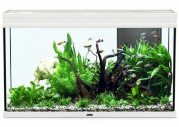 Comment faire pour se chauffer gratuitement ?