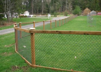 Comment faire pousser de la pelouse avec un chien ?