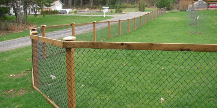 Comment faire pousser de la pelouse avec un chien ?