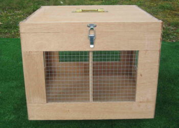 Comment faire rentrer son lapin dans sa cage de transport ?