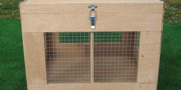 Comment faire rentrer son lapin dans sa cage de transport ?