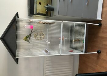 Comment faire sa propre volière ?