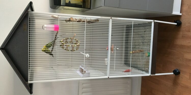 Comment faire sa propre volière ?