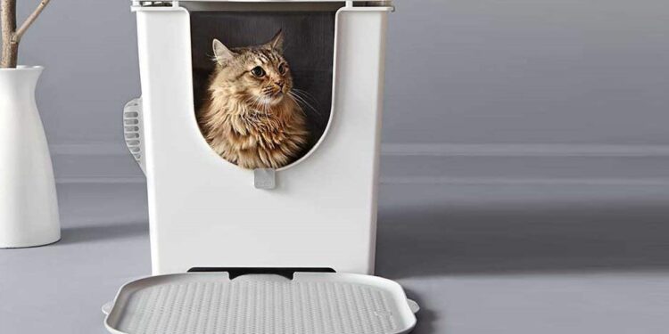 Comment faire sans bac à litière ?