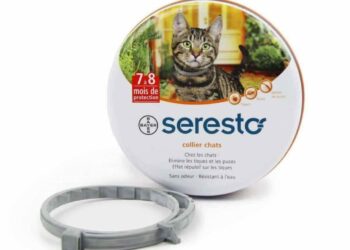 Comment faire si mon chat ne supporte pas la collerette ?