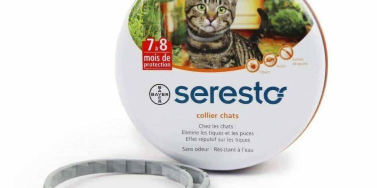 Comment faire si mon chat ne supporte pas la collerette ?
