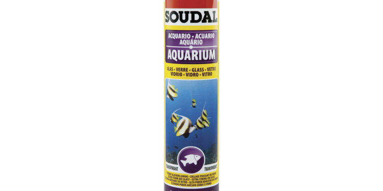 Comment faire son propre aquarium ?
