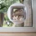 Comment faire sortir son chat sans chatière ?