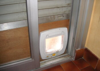 Comment faire sortir son chat sans chatière ?