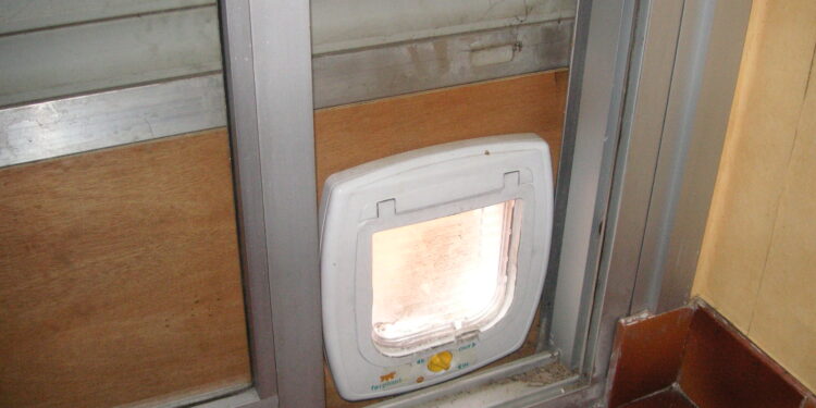 Comment faire sortir son chat sans chatière ?