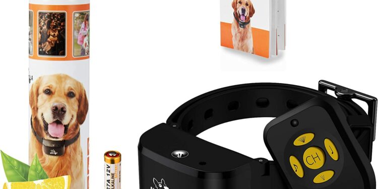 Comment faire taire un chien qui aboie tout le temps ?