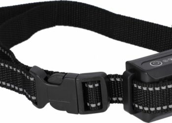 Comment faire taire un chien qui aboie tout le temps ?