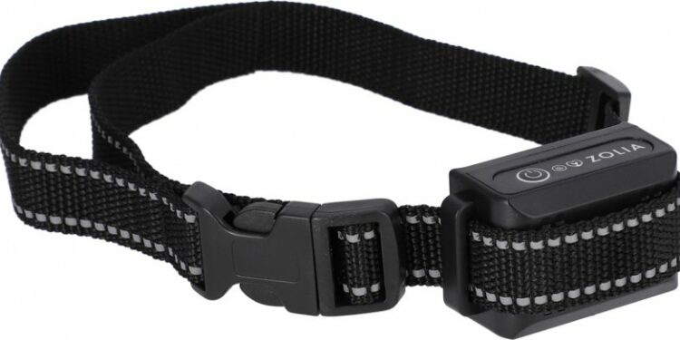 Comment faire taire un chien qui aboie tout le temps ?