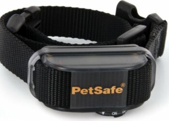 Comment faire taire un chien qui aboie tout le temps ?