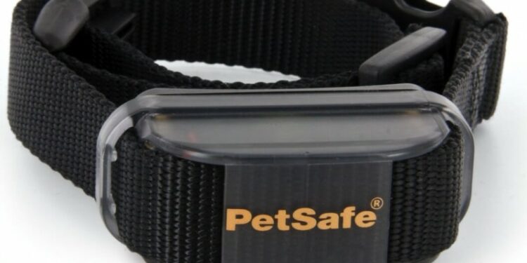 Comment faire taire un chien qui aboie tout le temps ?