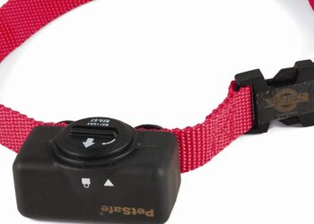 Comment faire taire un chien qui aboie tout le temps ?