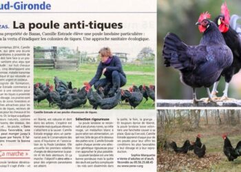 Comment faire un Anti-puce naturel ?