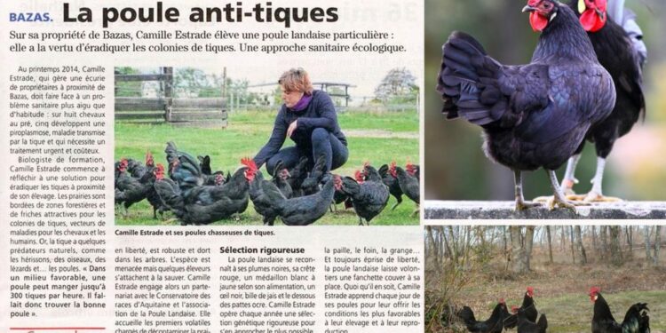 Comment faire un Anti-puce naturel ?