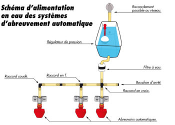 Comment faire un abreuvoir automatique pour poules ?
