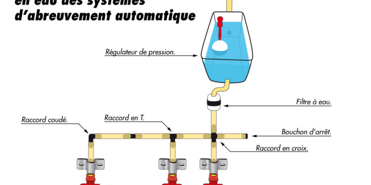 Comment faire un abreuvoir automatique pour poules ?