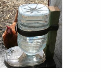 Comment faire un abreuvoir avec une bouteille ?