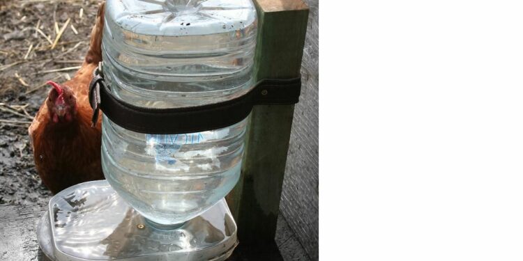 Comment faire un abreuvoir avec une bouteille ?