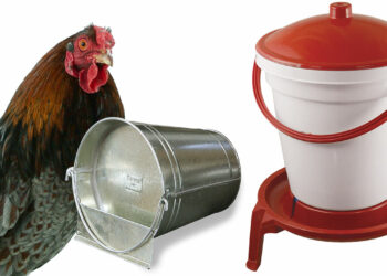 Comment faire un abreuvoir avec une bouteille ?