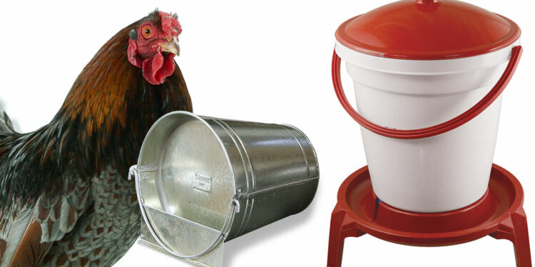 Comment faire un abreuvoir avec une bouteille ?