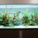 Comment faire un aquarium parfait ?