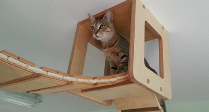 Comment faire un arbre à chat facile ?