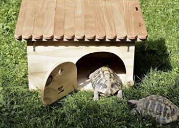 Comment faire un bac à tortue ?