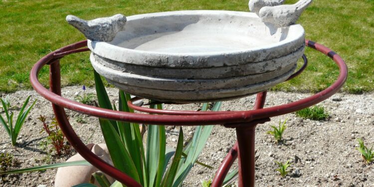 Comment faire un bain d'oiseau maison ?