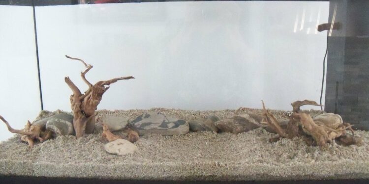 Comment faire un blackout aquarium ?