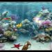 Comment faire un bon sol d'aquarium ?