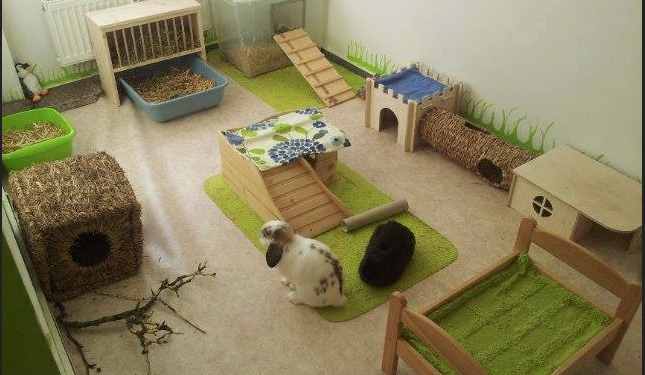 Comment faire un clapier à lapin avec des palettes ?