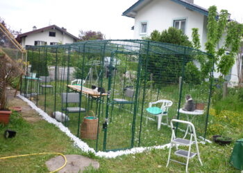 Comment faire un enclos en bois ?