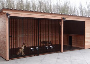 Comment faire un enclos pour gros chien ?