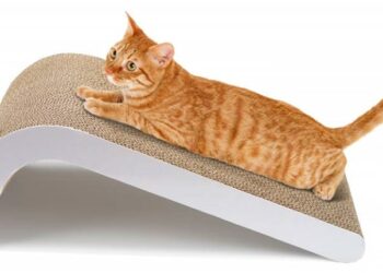 Comment faire un grattoir pour chat ?