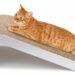 Comment faire un grattoir pour chat ?
