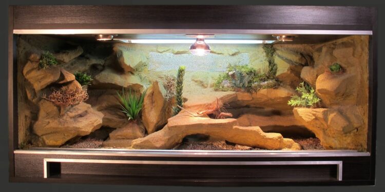 Comment faire un joli terrarium ?