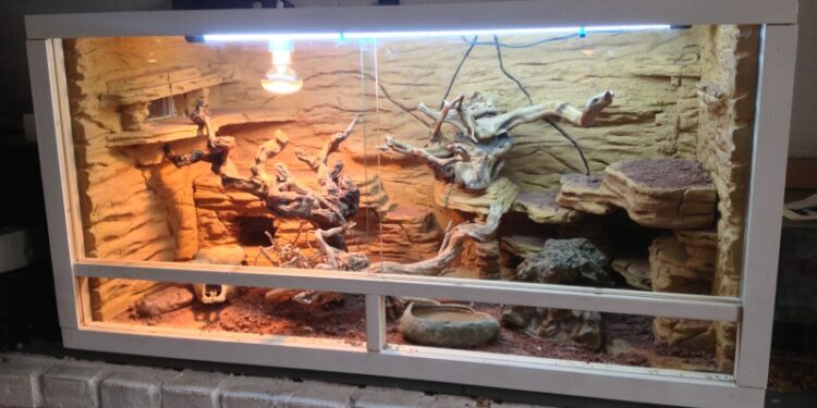 Comment faire un joli terrarium ?